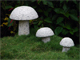 set of mushroom