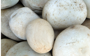 Natural Pebbles